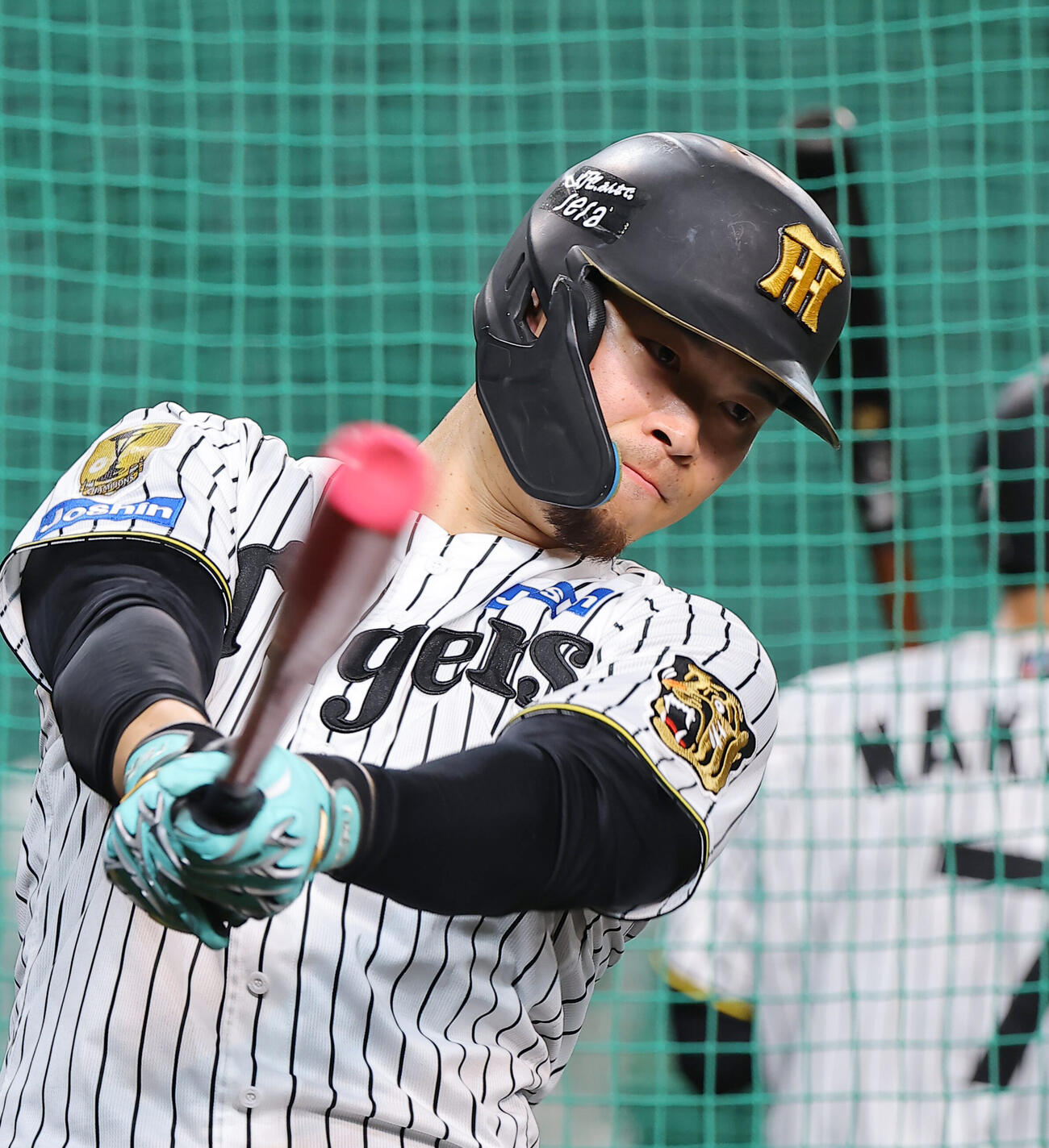 佐藤輝明（2026年10月撮影）
