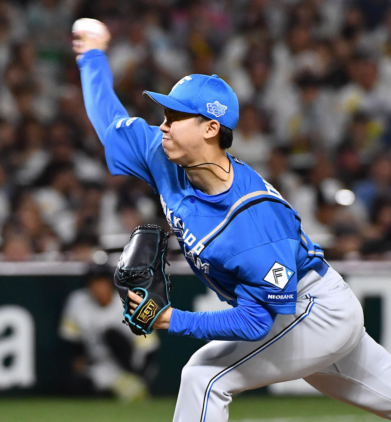 日本ハム大川慈英（2026年10月撮影）