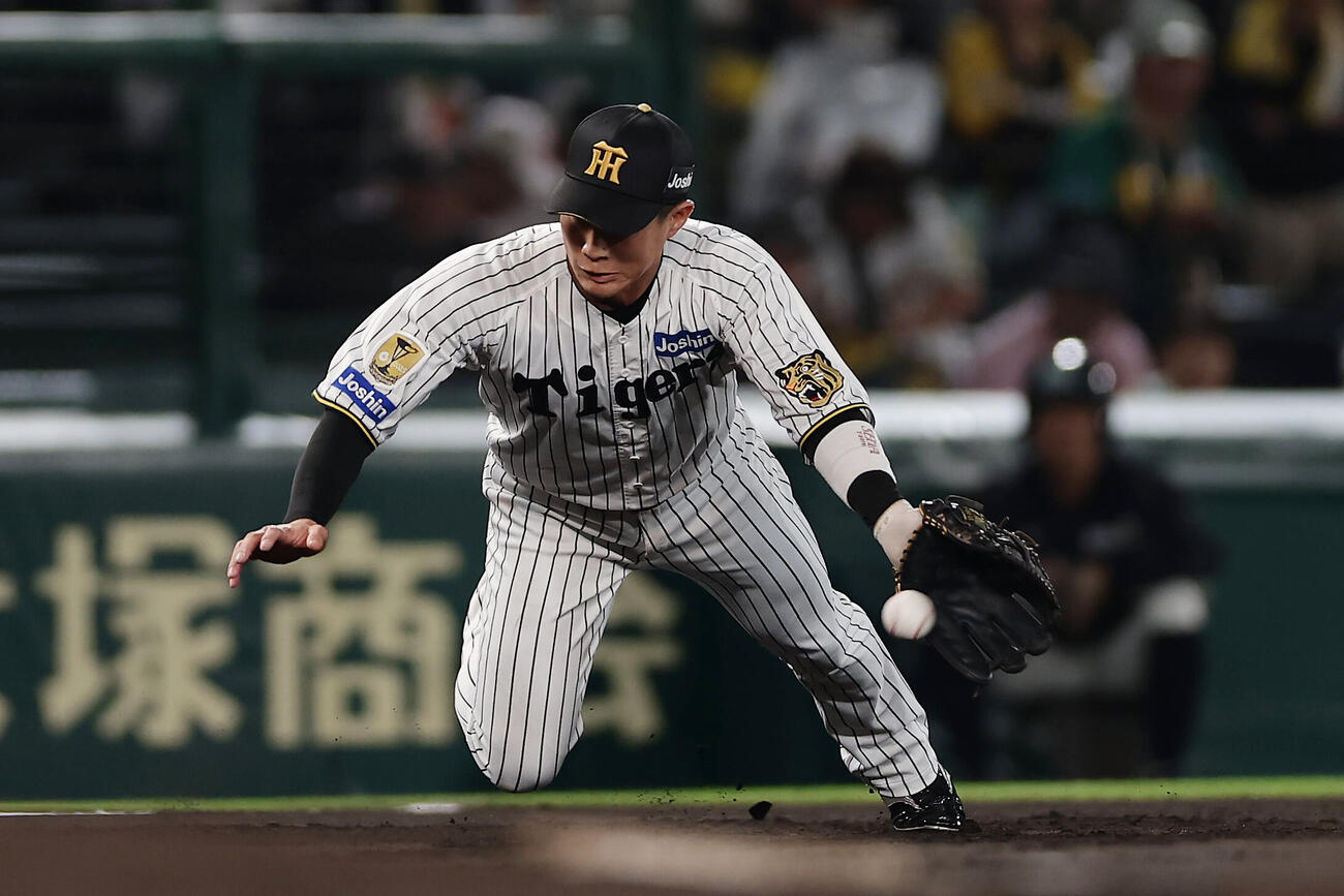 阪神対DeNA 2回表DeNA無死、宮崎敏郎の三ゴロをさばく木浪聖也（撮影・前田充）