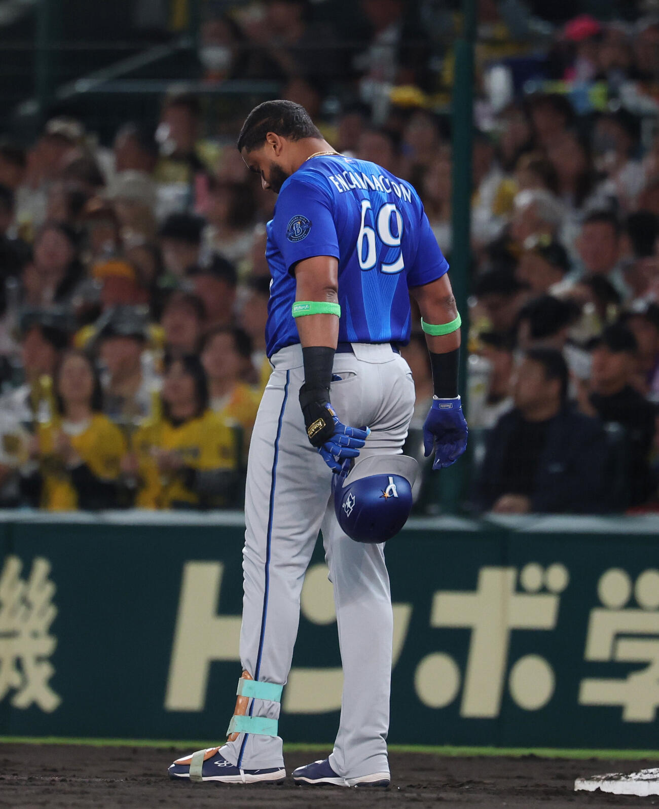 阪神対DeNA 4回表、併殺打に倒れがっくりとするヘラル・エンカーナシオン（撮影・増田悦実）