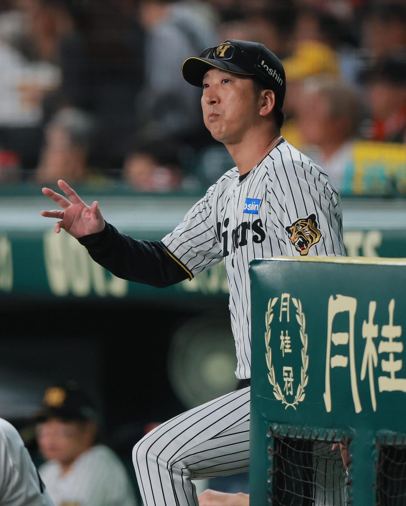 阪神対DeNA 6回裏、森下翔太が異常を訴え交代する藤川球児監督（撮影・上山淳一）