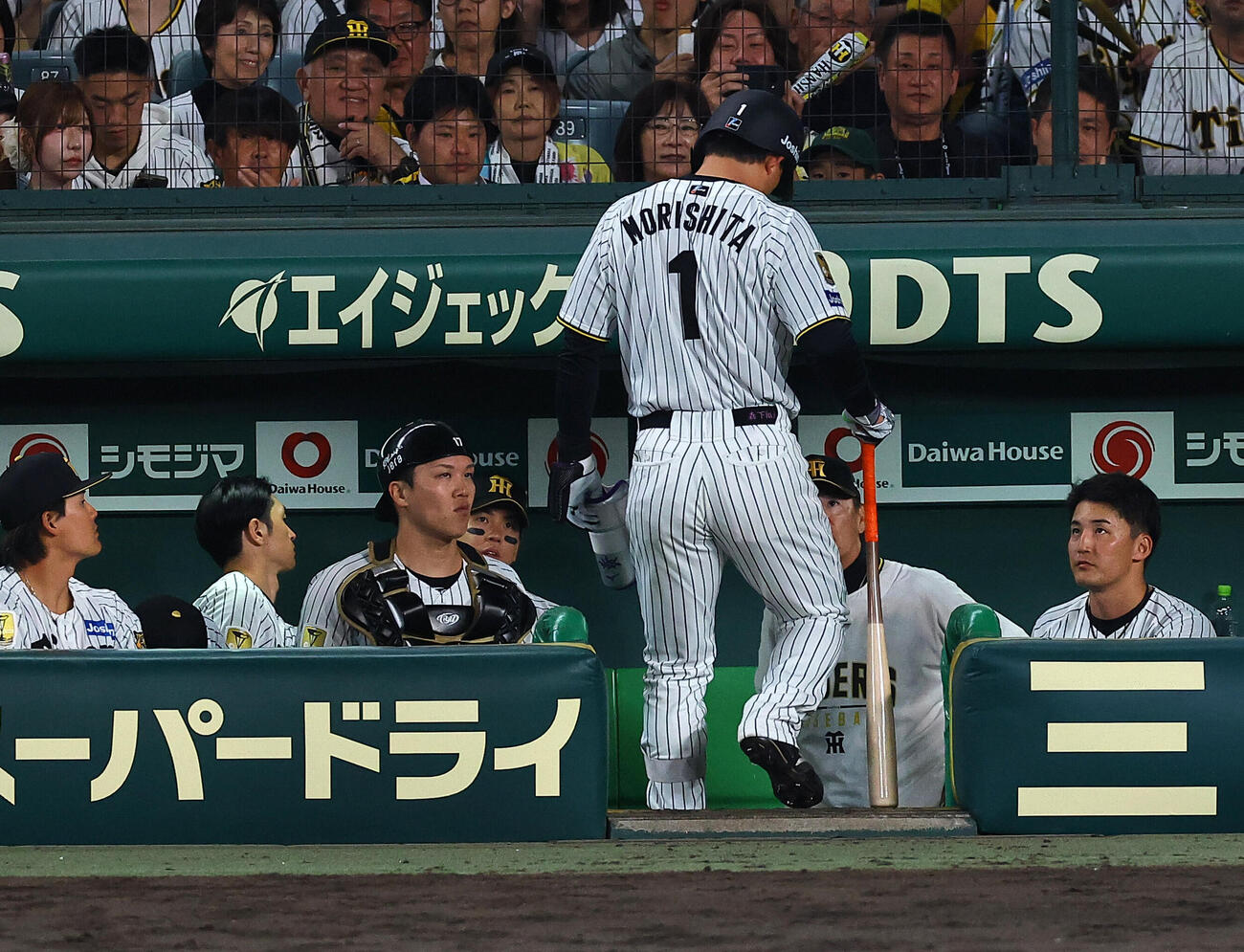 阪神対DeNA 6回裏阪神2死、二ゴロに倒れた森下翔太はベンチ引き揚げる（撮影・上田博志）