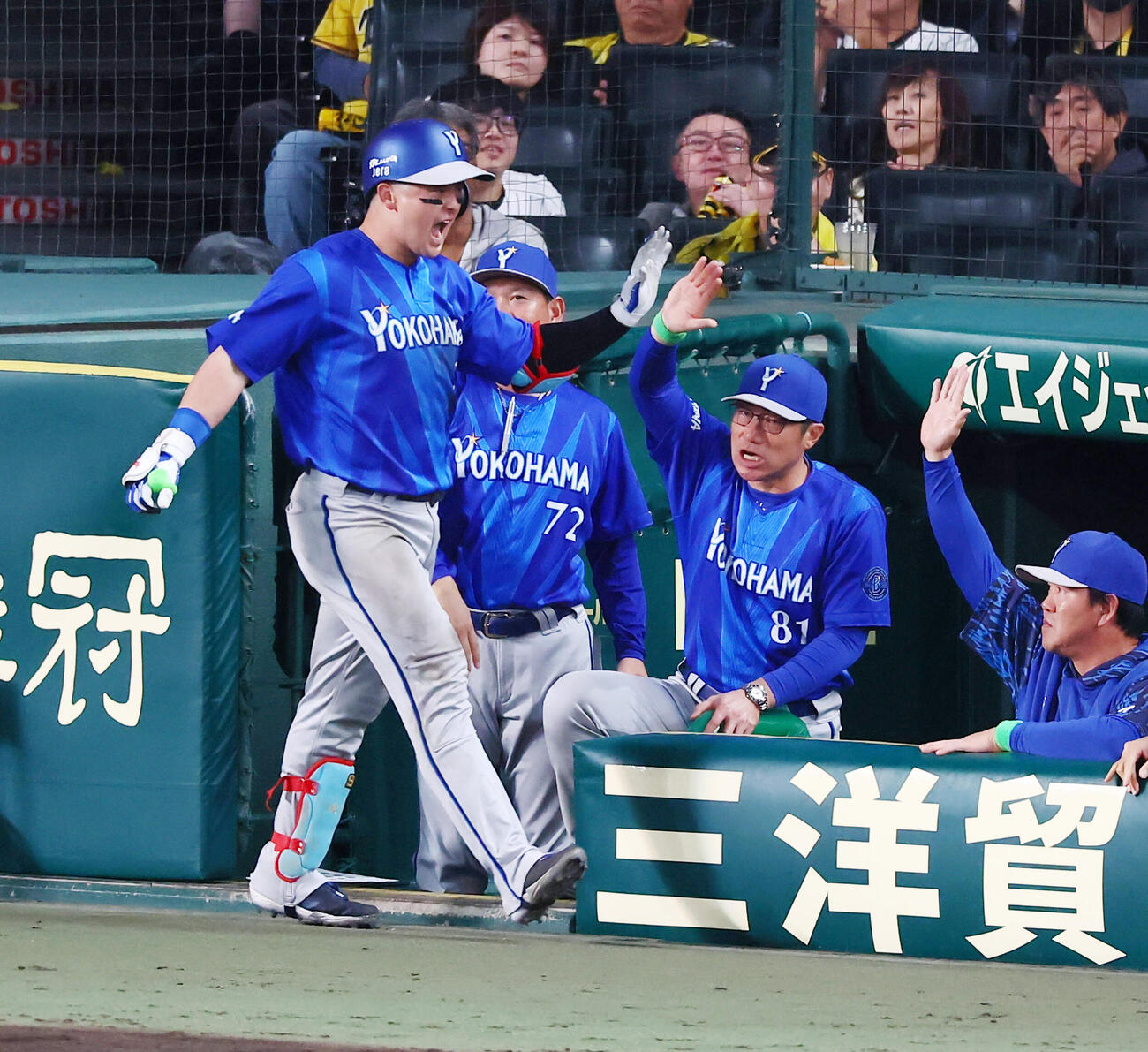 阪神対DeNA 8回表DeNA2死、牧秀悟は左中間越えソロ本塁打を放ちベンチの相川亮二監督（右）とタッチする（撮影・加藤哉）