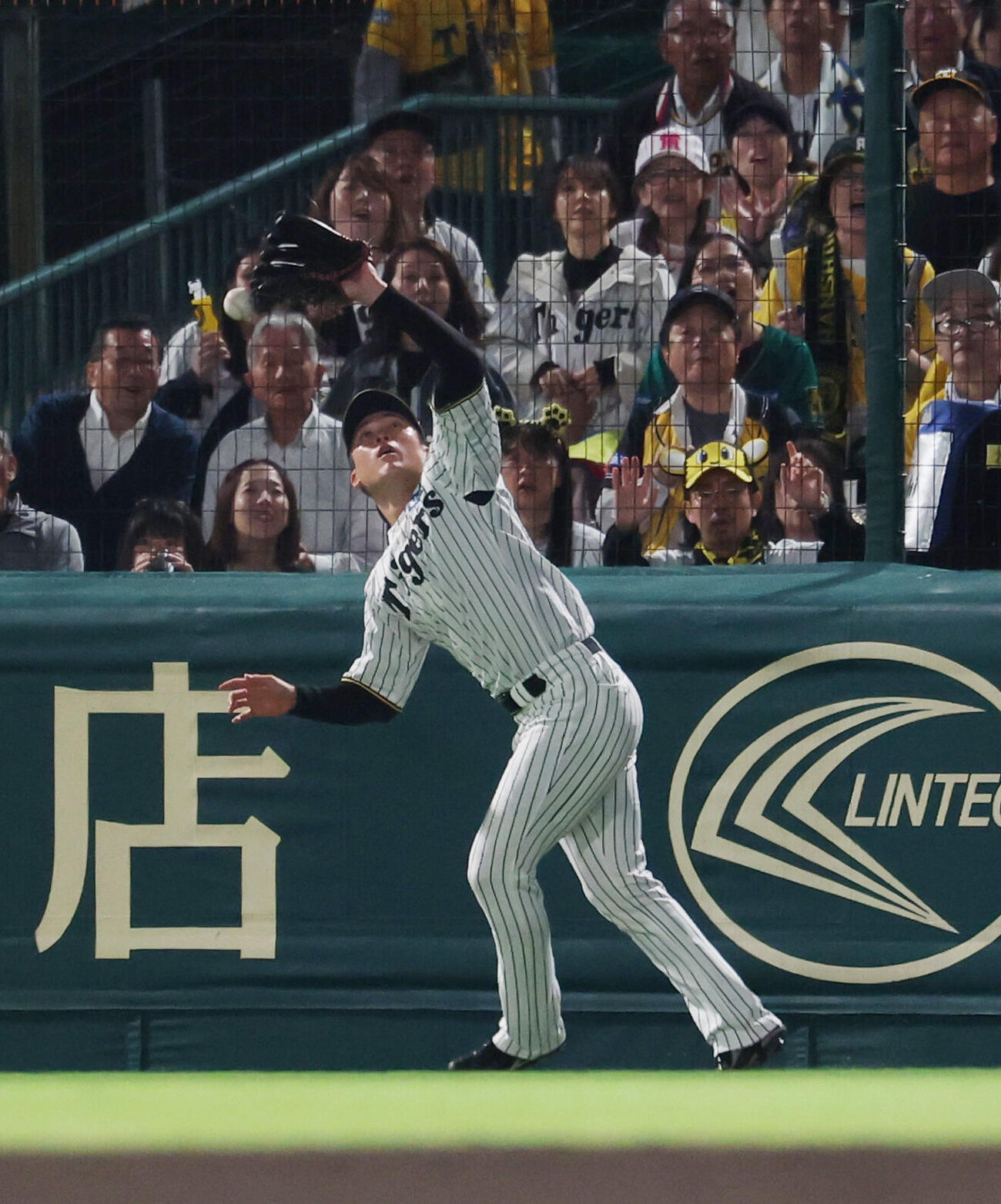阪神対DeNA 7回表DeNA無死、宮崎敏郎の打球を落球する高寺望夢（撮影・増田悦実）