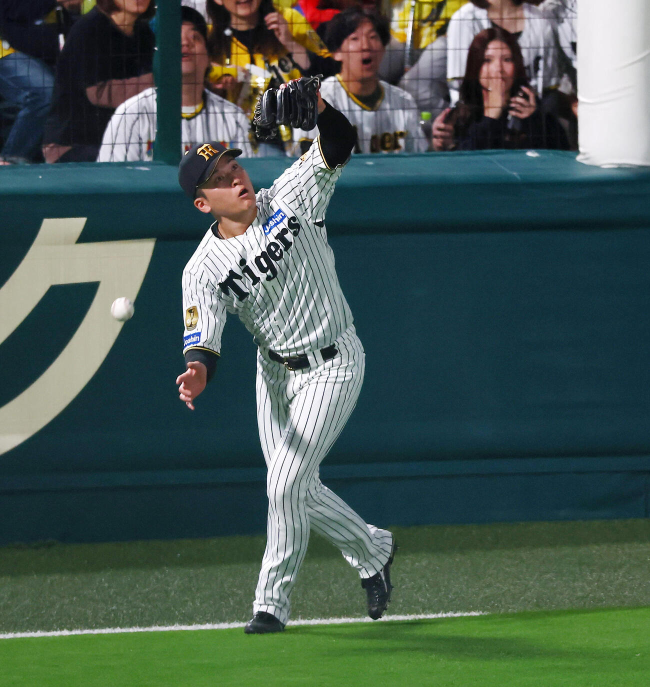 阪神対DeNA 7回表DeNA無死、高寺望夢は宮崎敏郎の飛球を落球（撮影・加藤哉）