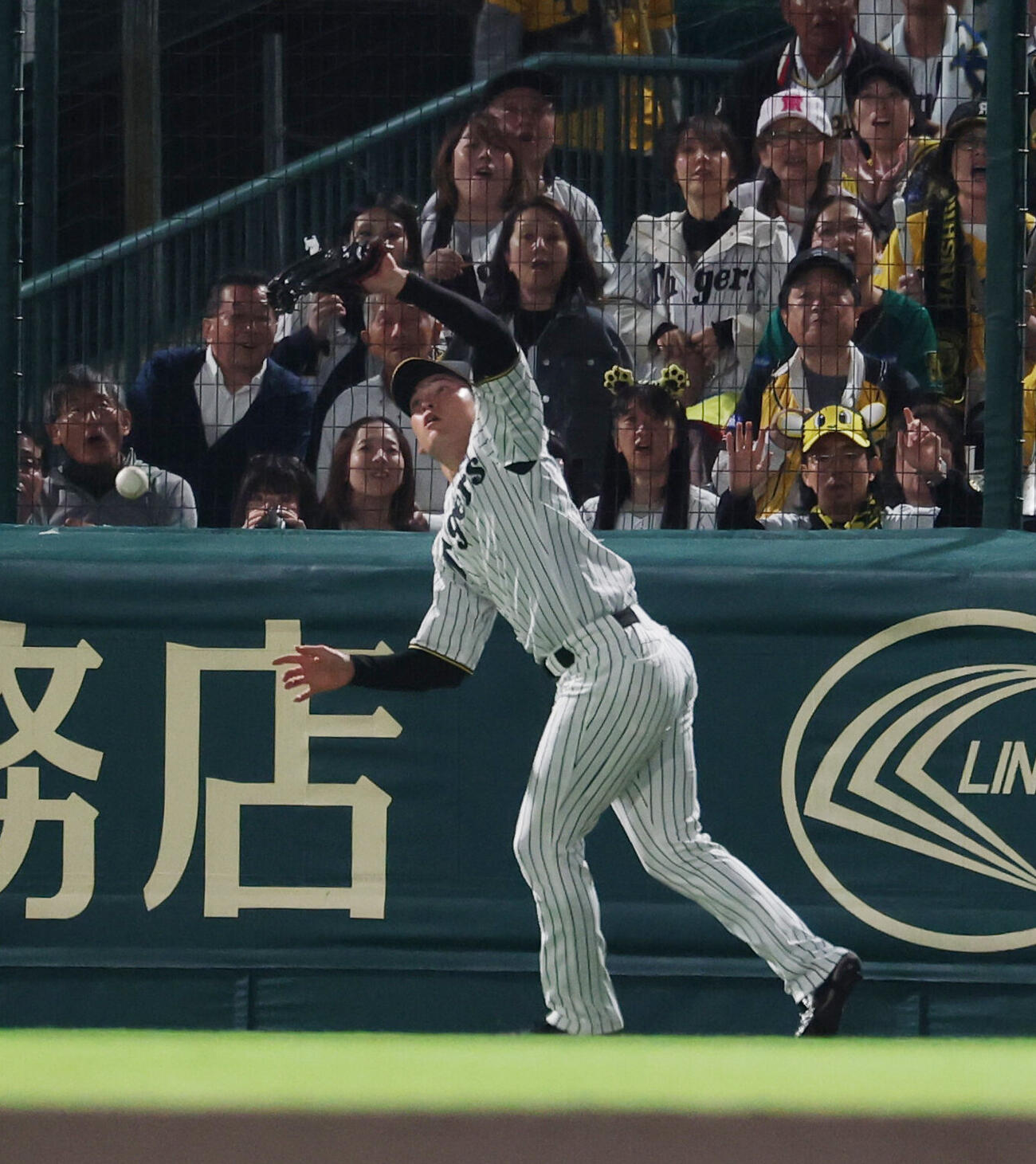 阪神対DeNA 7回表DeNA無死、宮崎敏郎の打球を落球する高寺望夢（撮影・増田悦実）