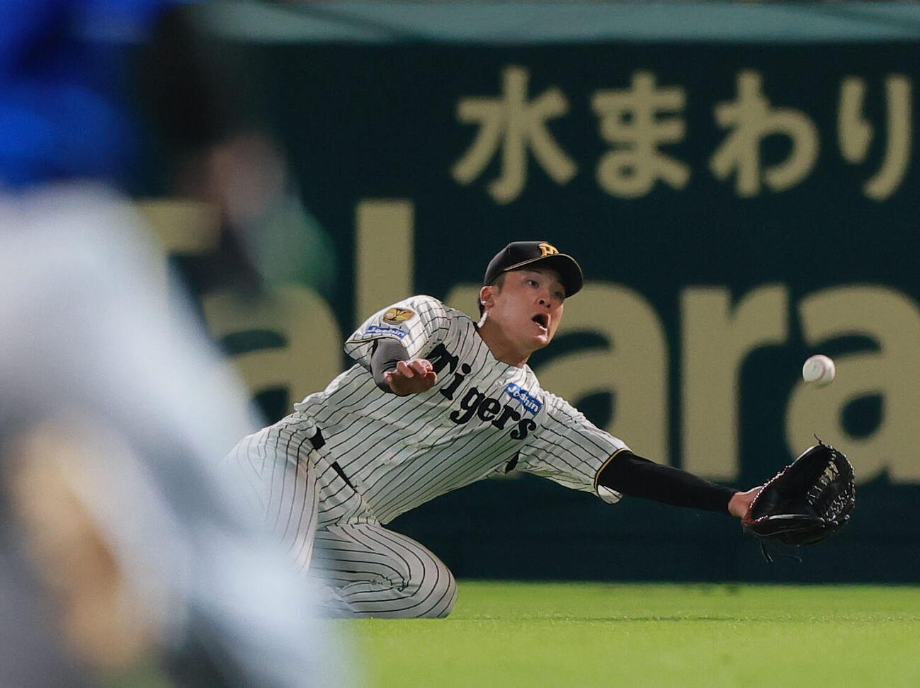 阪神対DeNA 7回表DeNA2死二塁、高寺望夢は蝦名達夫の右飛に飛びつく（撮影・上山淳一）