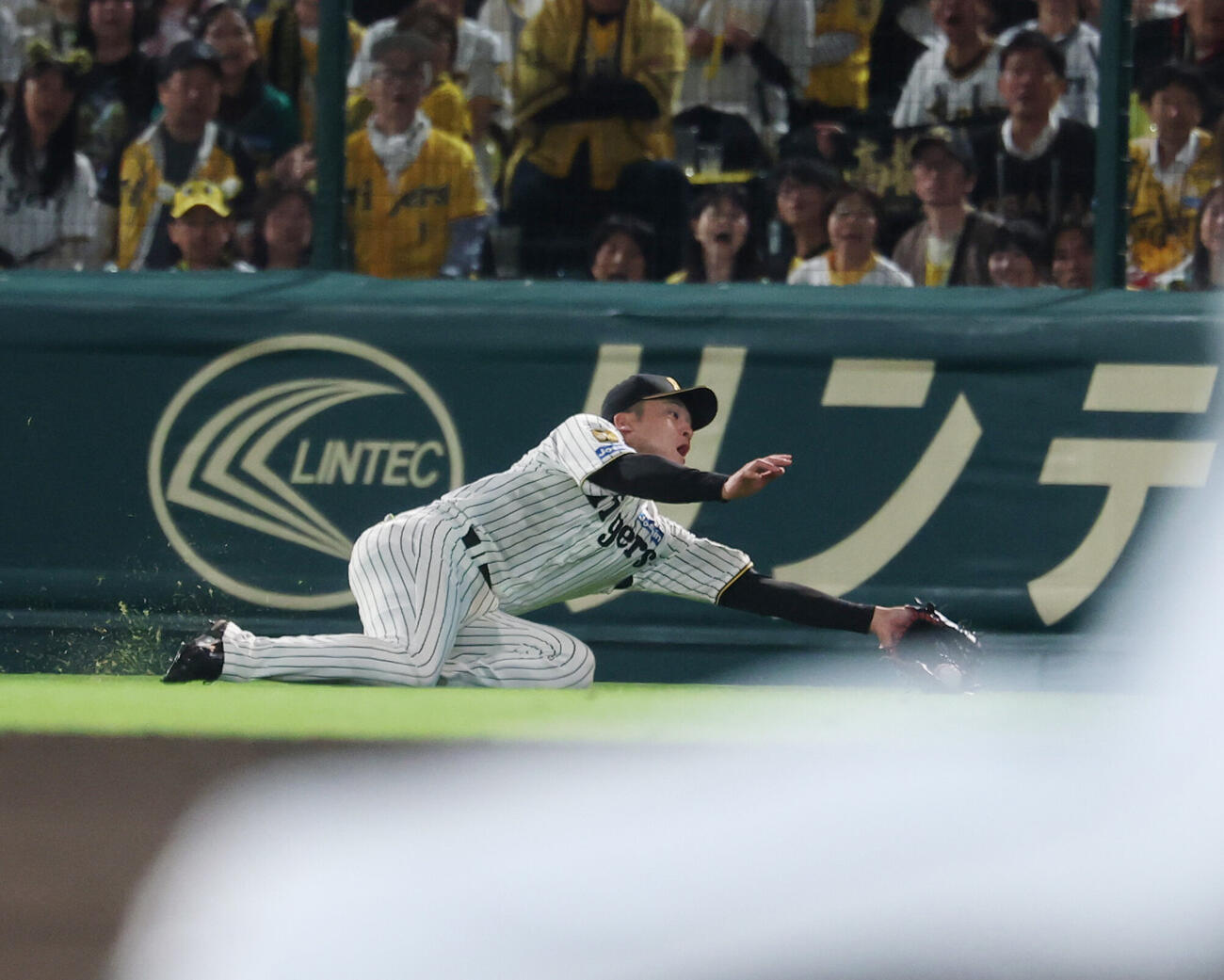 阪神対DeNA 7回表DeNA2死二塁、蝦名達夫の打球を好捕する高寺望夢（撮影・増田悦実）