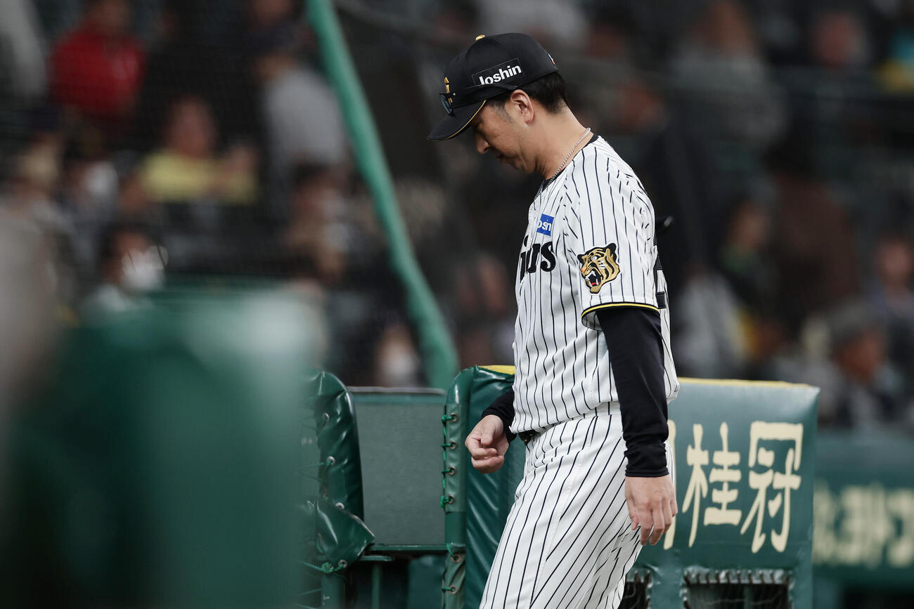 阪神対DeNA 8回裏を終え、選手交代を告げてベンチへ戻る阪神藤川球児監督（撮影・前田充）