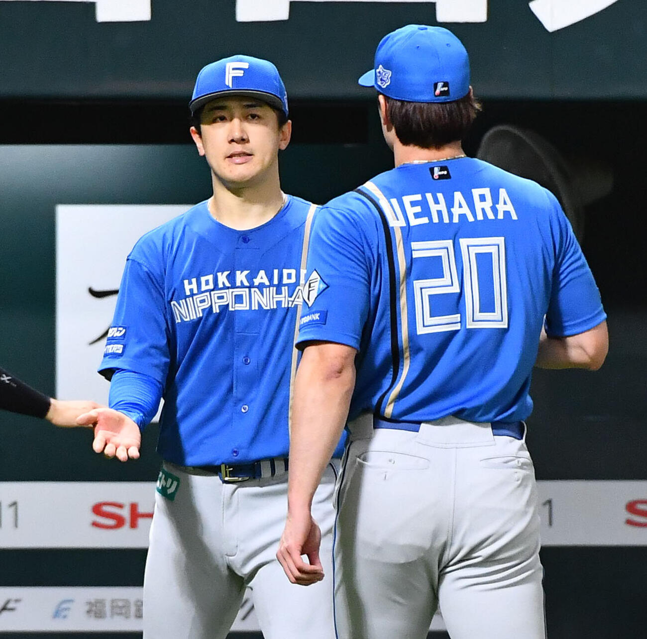 ソフトバンク対日本ハム　7回裏、2番手で後続を抑えた上原健太（右）を迎える北山亘基（撮影・岩下翔太）
