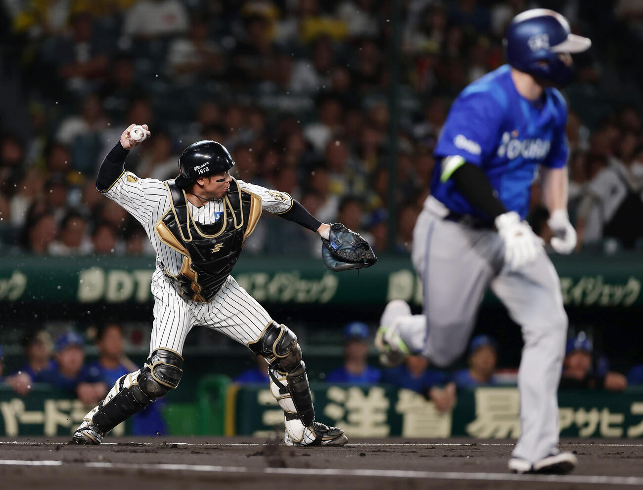 阪神対DeNA 1回表DeNA無死一、二塁、佐野恵太のバントを三塁へ送球する梅野隆太郎（撮影・前田充）