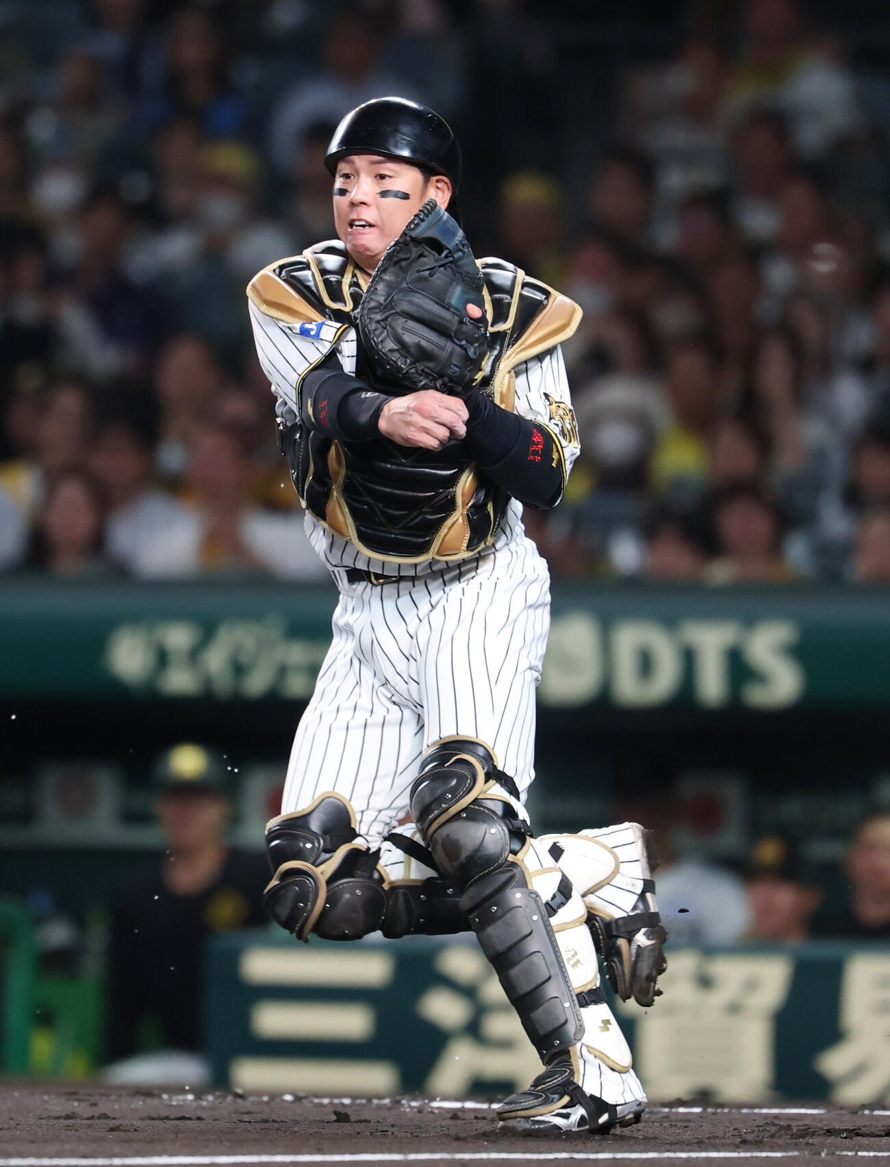 阪神対DeNA 1回表DeNA無死一、二塁、佐野恵太の送りバントを三塁に送球する梅野隆太郎（撮影・増田悦実）