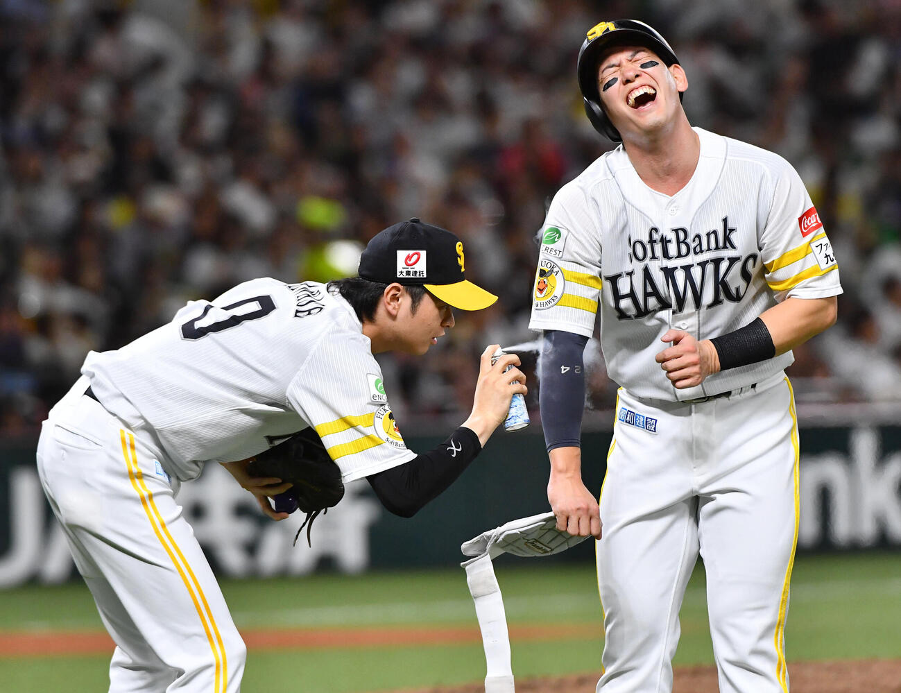 ソフトバンク対日本ハム　2回裏終了後、死球を受けた場所に川瀬晃（左）から冷却スプレーをかけられる栗原陵矢（撮影・岩下翔太）
