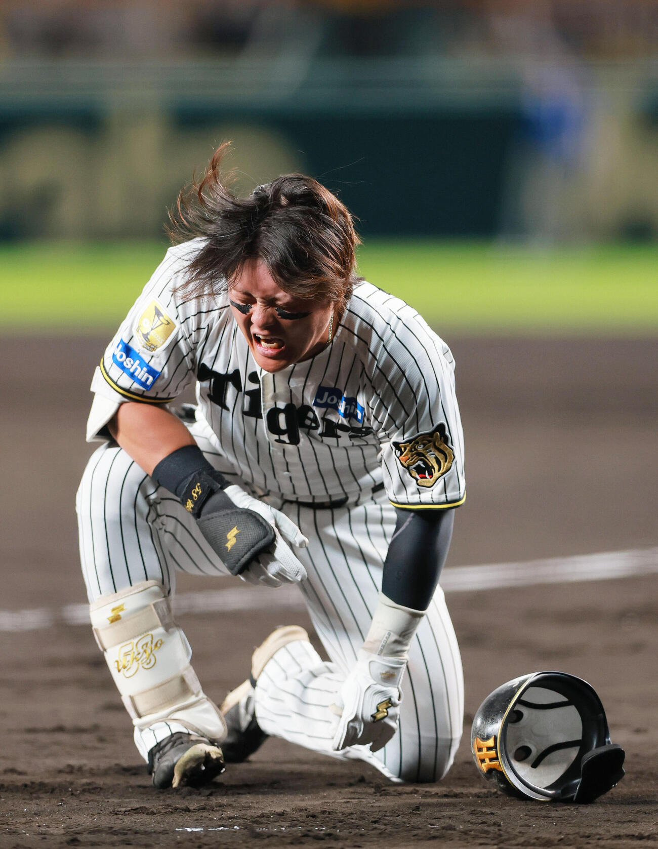 阪神対DeNA 2回裏阪神無死、前川右京は死球を受け痛がる（撮影・上山淳一）