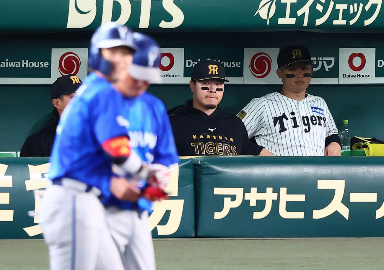 阪神対DeNA 1回表DeNA無死一塁、ベンチから試合を見つめる阪神佐藤輝明（中央）と森下翔太（撮影・加藤哉）