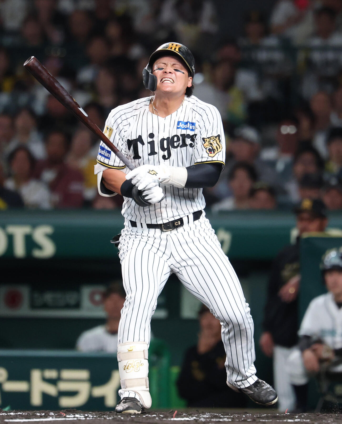 阪神対DeNA 2回裏阪神無死、死球を受け痛がる前川右京（撮影・増田悦実）