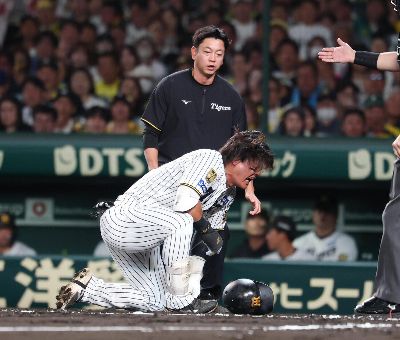 阪神対DeNA 2回裏阪神無死、死球を受け痛がる前川右京（撮影・増田悦実）
