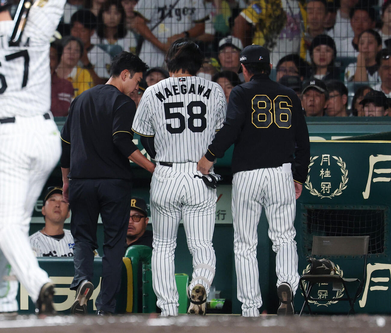 阪神対DeNA 2回裏阪神無死、死球を受けベンチに下がる前川右京（撮影・増田悦実）