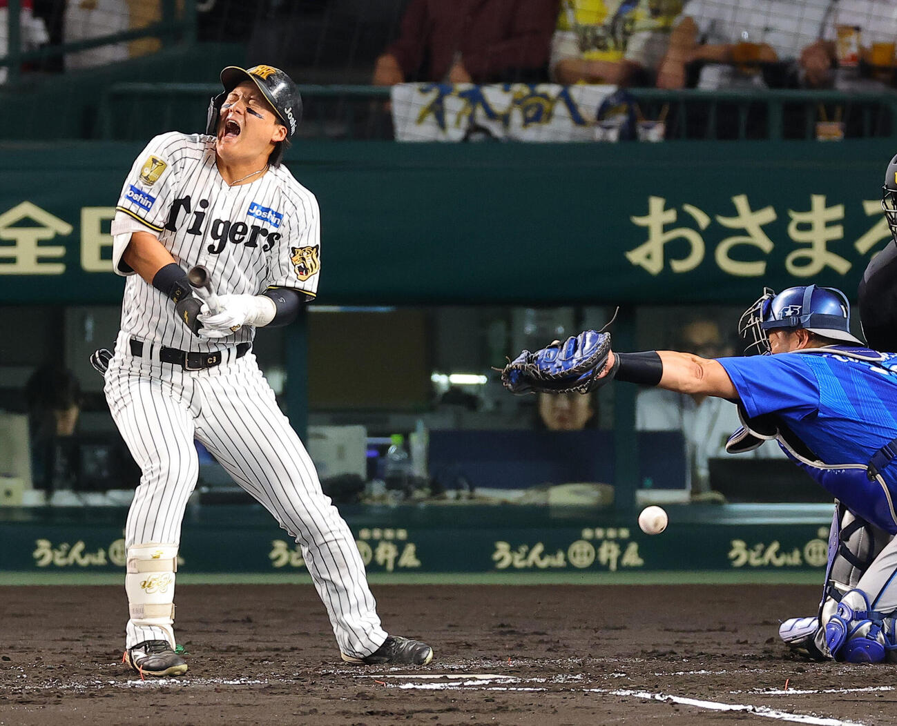 阪神対DeNA 2回裏阪神無死、前川右京は死球を受ける（撮影・上田博志）
