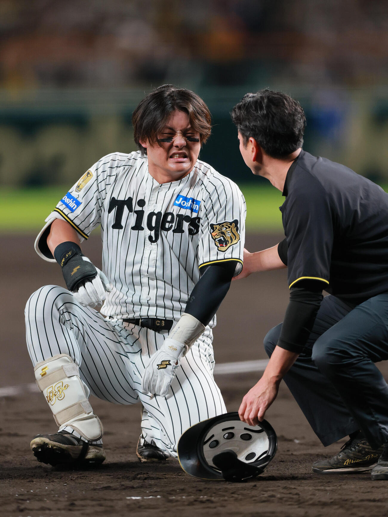 阪神対DeNA 2回裏阪神無死、前川右京は死球を受け痛がる（撮影・上山淳一）