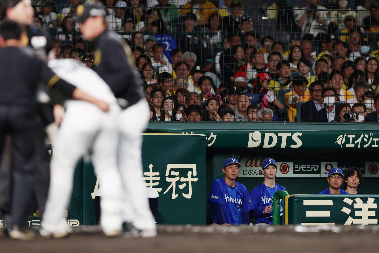 阪神対DeNA 2回裏阪神無死、死球を受けた前川右京を見つめる相川亮二監督（右から2人目）（撮影・前田充）