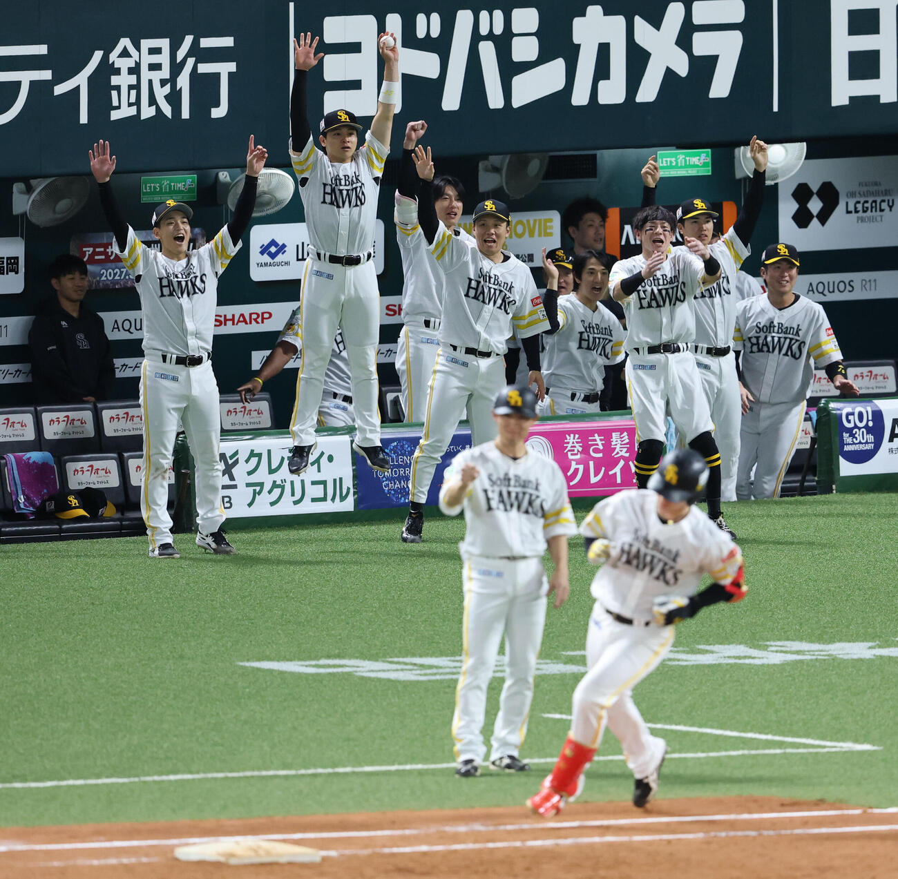 ソフトバンク対日本ハム　5回裏ソフトバンク1死二塁、正木智也は左中間に逆転となる2点本塁打を放つ、盛り上がるベンチのナイン（撮影・梅根麻紀）