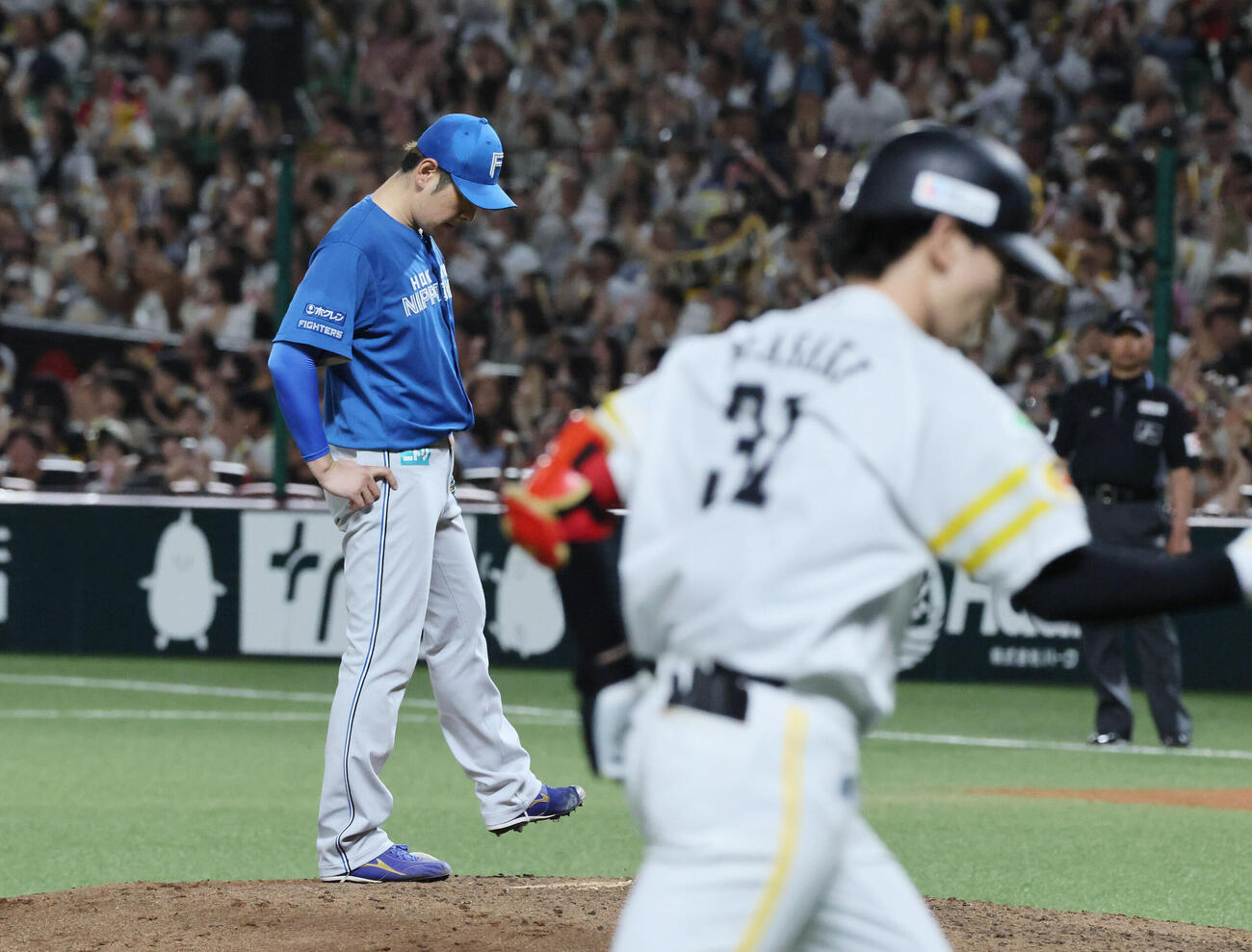 ソフトバンク対日本ハム　5回裏ソフトバンク1死二塁、正木智也に逆転の2点本塁打を浴びた加藤貴之（撮影・加藤孝規）