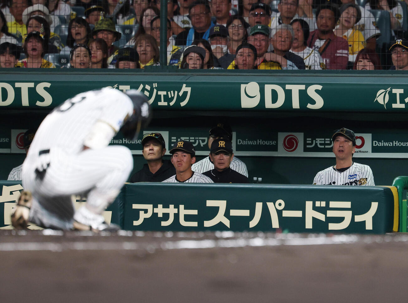 阪神対DeNA 2回裏阪神無死、死球を受け痛がる前川右京（手前）を見つめる藤川球児監督（右）（撮影・増田悦実）