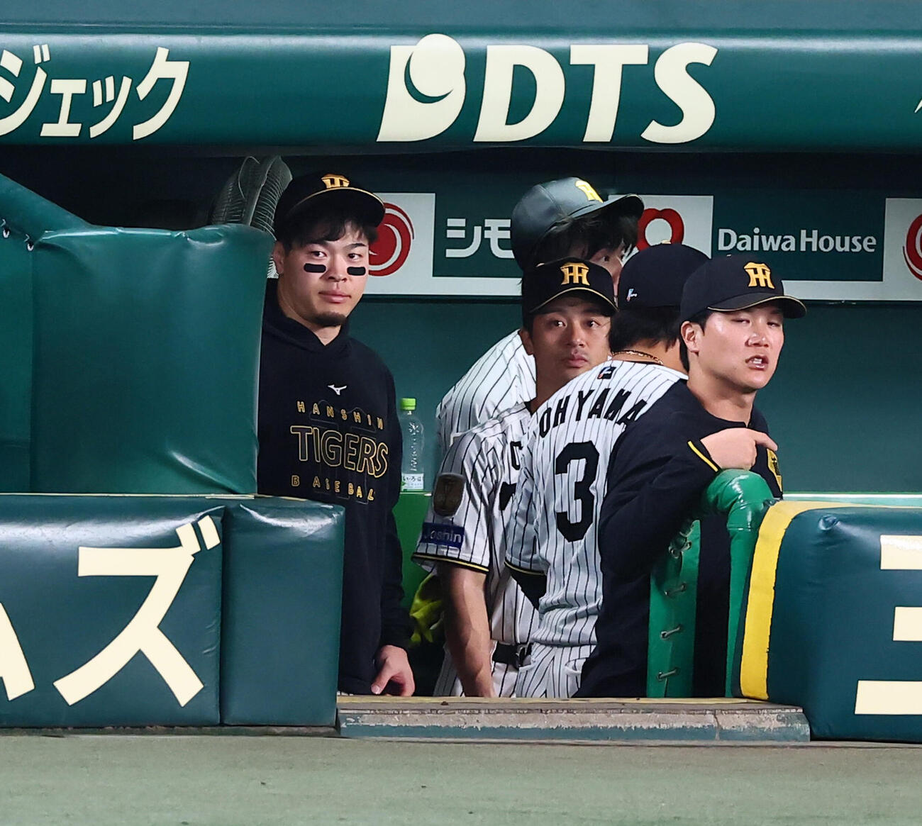 阪神対DeNA　ベンチの中に姿を見せた阪神佐藤輝明（撮影・加藤哉）