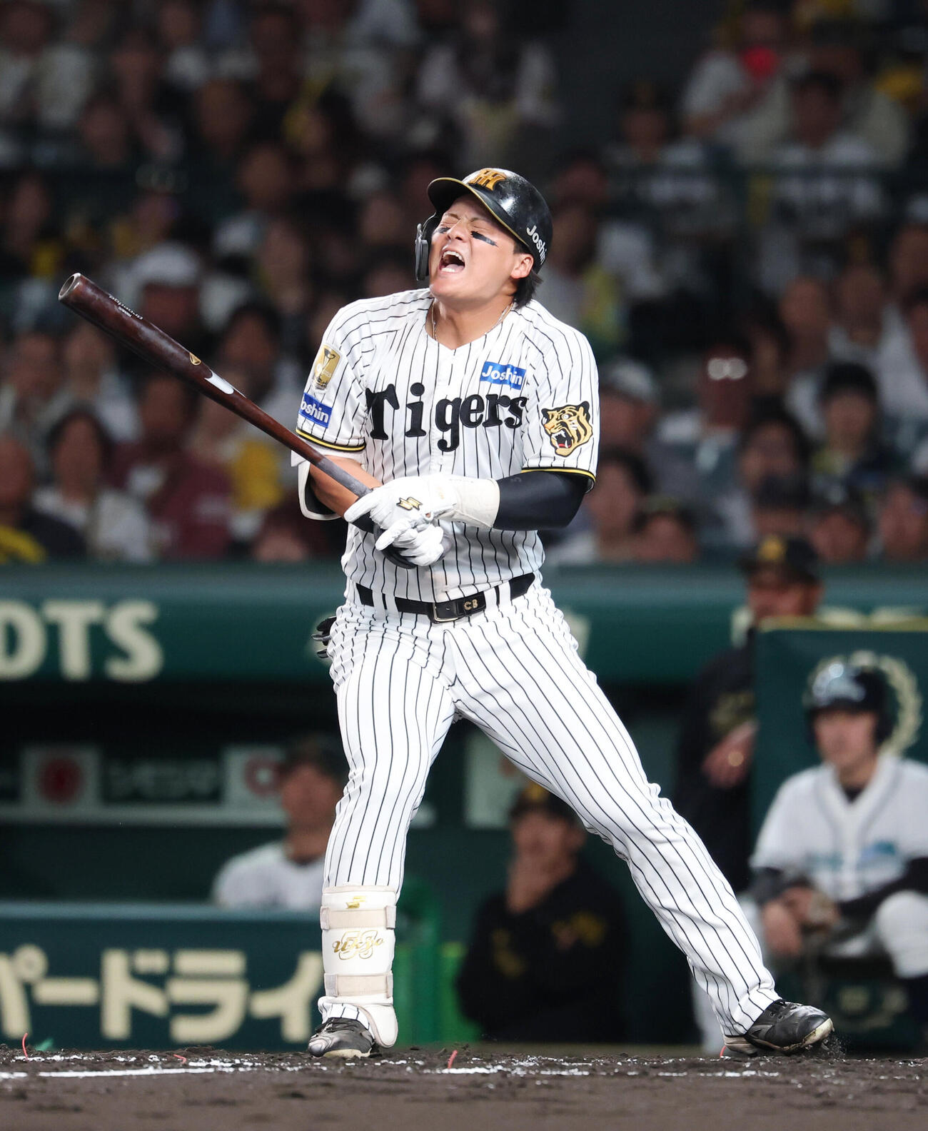 阪神対DeNA 2回裏阪神無死、死球を受け痛がる前川右京（撮影・増田悦実）
