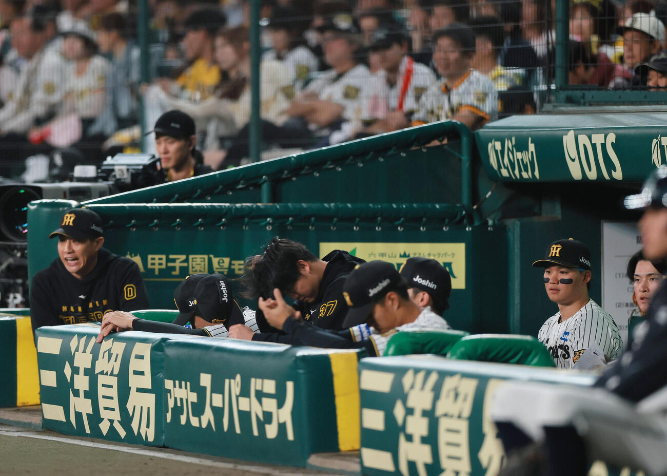 阪神対DeNA 9回裏、味方の攻撃を期待する阪神の選手ら（撮影・上山淳一）