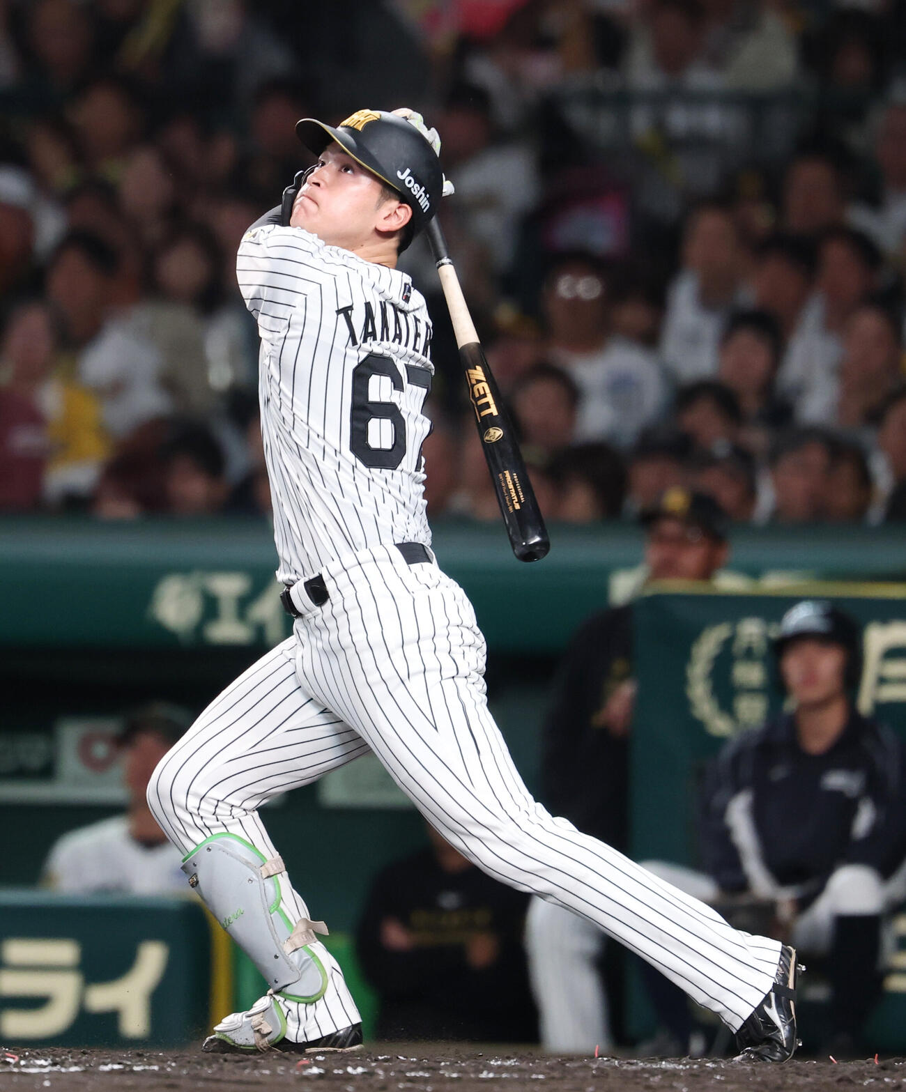 阪神対DeNA 5回裏阪神無死、邪飛に倒れる高寺望夢（撮影・増田悦実）