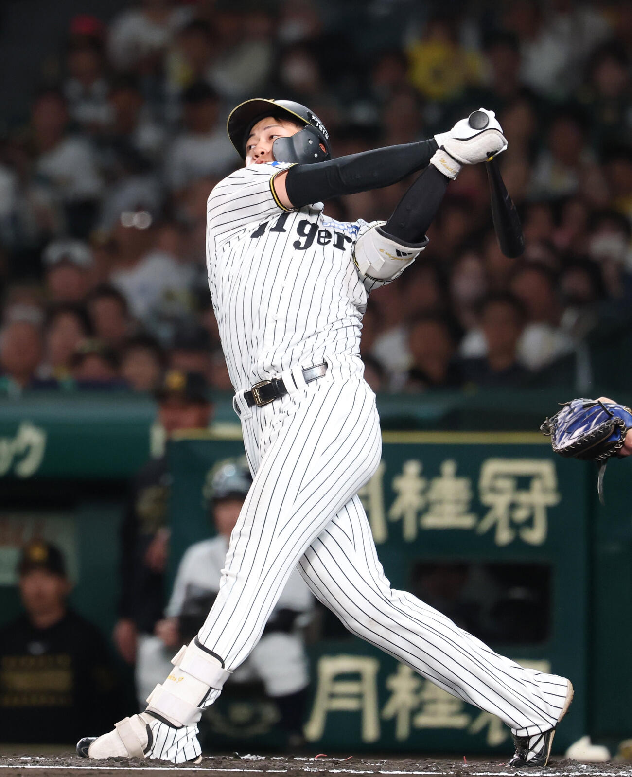 阪神対DeNA 6回裏阪神1死、空振り三振に倒れる立石正広（撮影・増田悦実）
