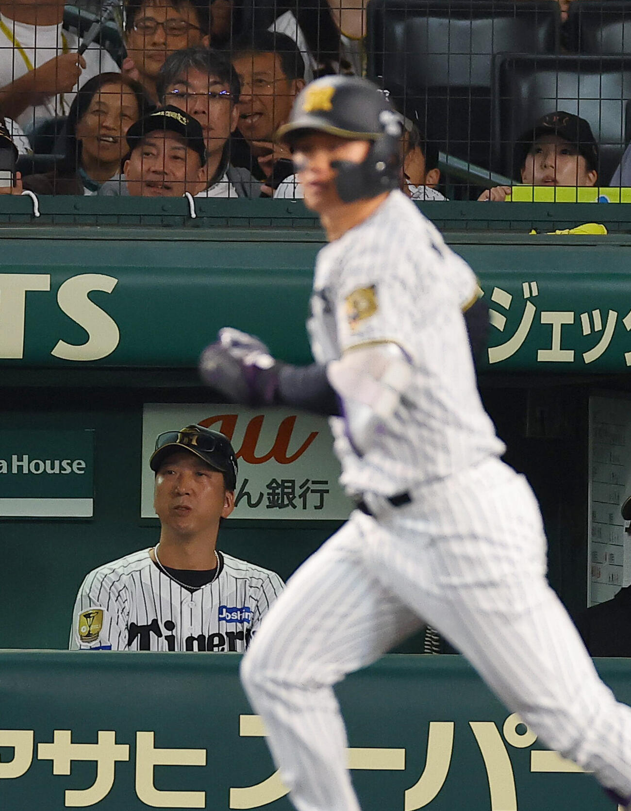 阪神対DeNA 7回裏阪神1死一塁、藤川球児監督（左）は中飛に倒れた森下翔太の打球を見つめる（撮影・上田博志）