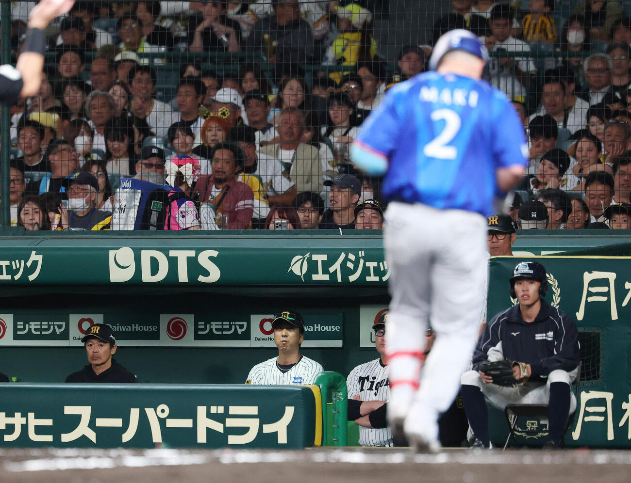 阪神対DeNA 8回表DeNA無死、本塁打を放ち生還する牧秀悟を見つめる藤川球児監督（中央）（撮影・増田悦実）