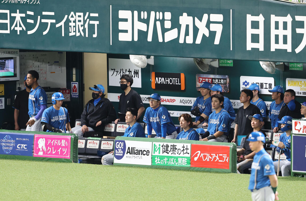 ソフトバンク対日本ハム　ベンチから試合を見つめる日本ハム新庄剛志監督（撮影・梅根麻紀）