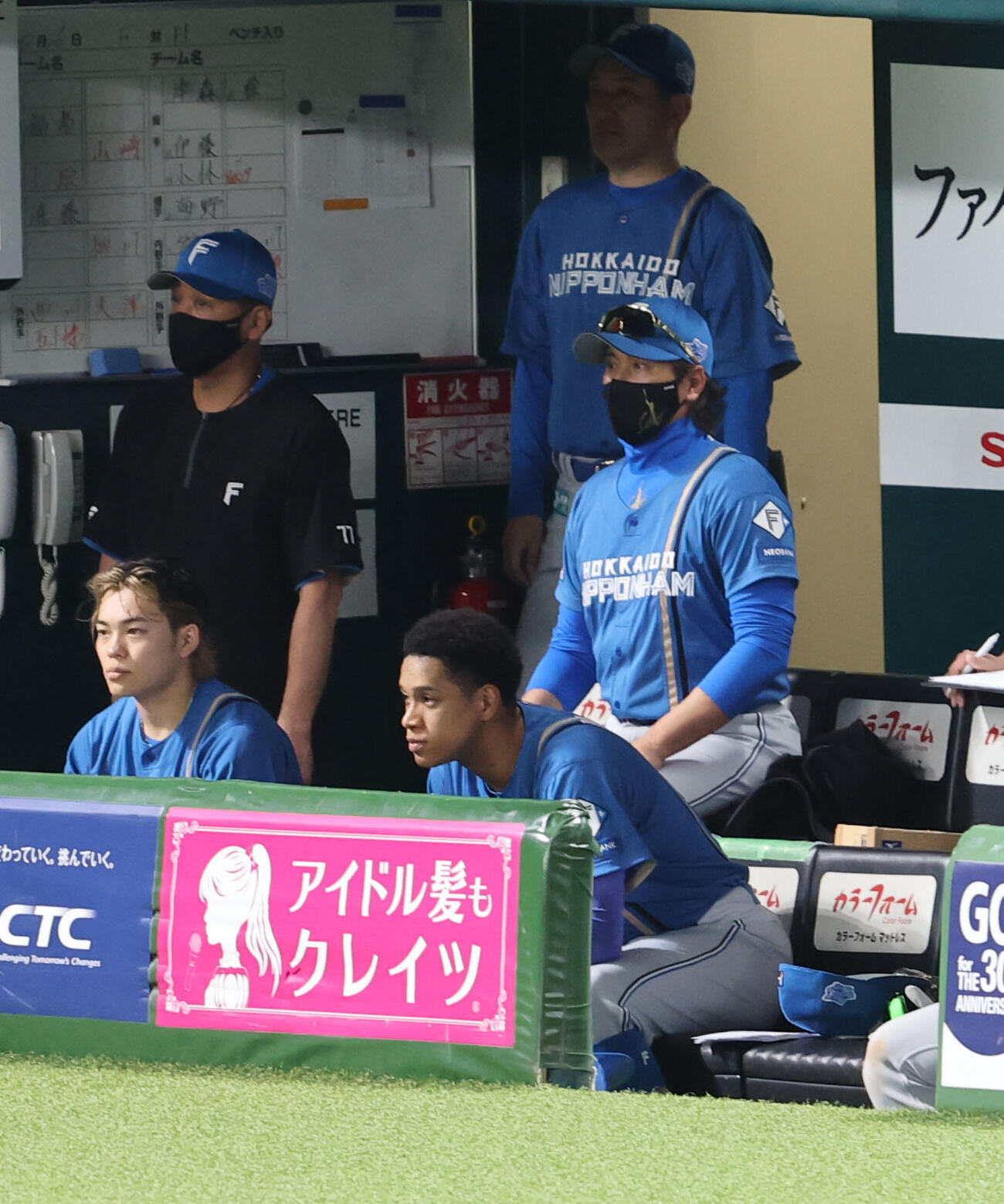 ソフトバンク対日本ハム　ベンチから試合を見つめる日本ハム新庄剛志監督（撮影・梅根麻紀）