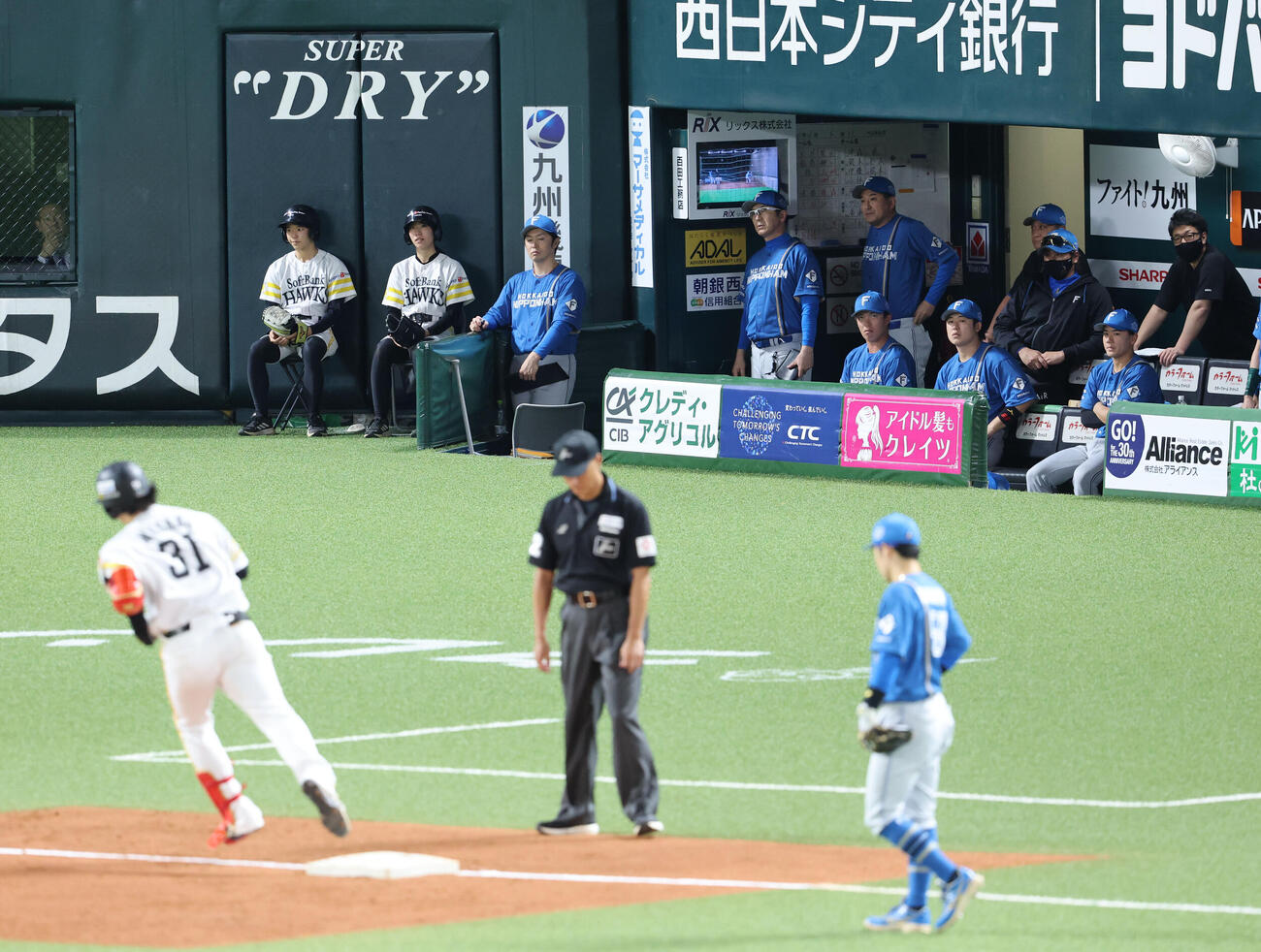 ソフトバンク対日本ハム　5回裏ソフトバンクク1死二塁、逆転の2点本塁打を放った正木智也をベンチから見つめる日本ハム新庄剛志監督（右から3人目）（撮影・梅根麻紀）