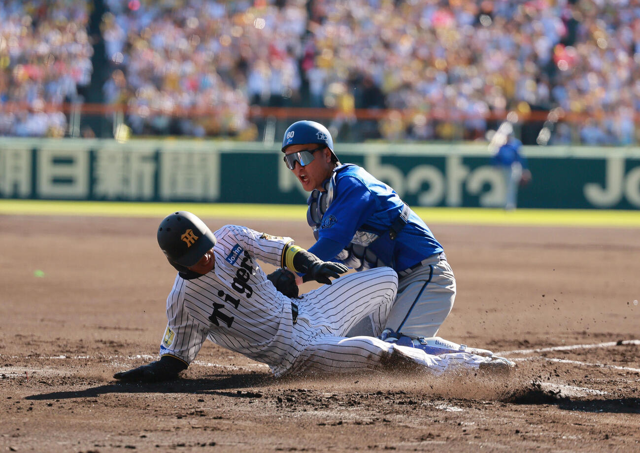 阪神対DeNA 1回裏阪神2死一、二塁、二走近本光司（左）は大山悠輔の左前適時打で生還する。捕手松尾汐恩（撮影・上山淳一）