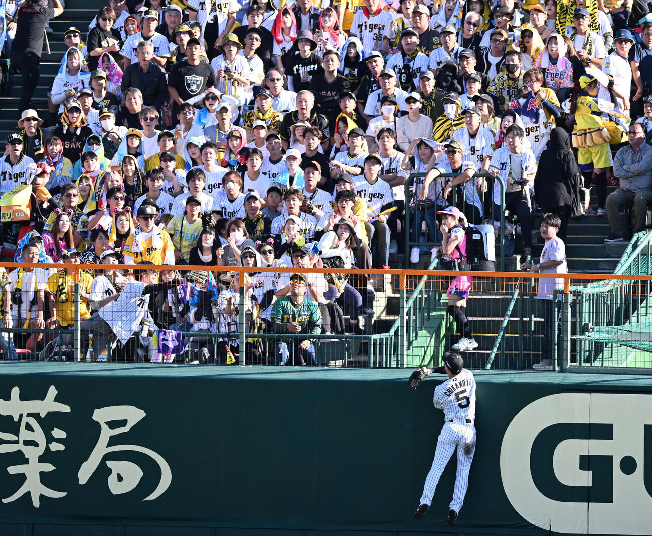 阪神対DeNA 4回表DeNA2死一塁、成瀬脩人の飛球や近本光司を越えスタンドインとなる（撮影・和賀正仁）