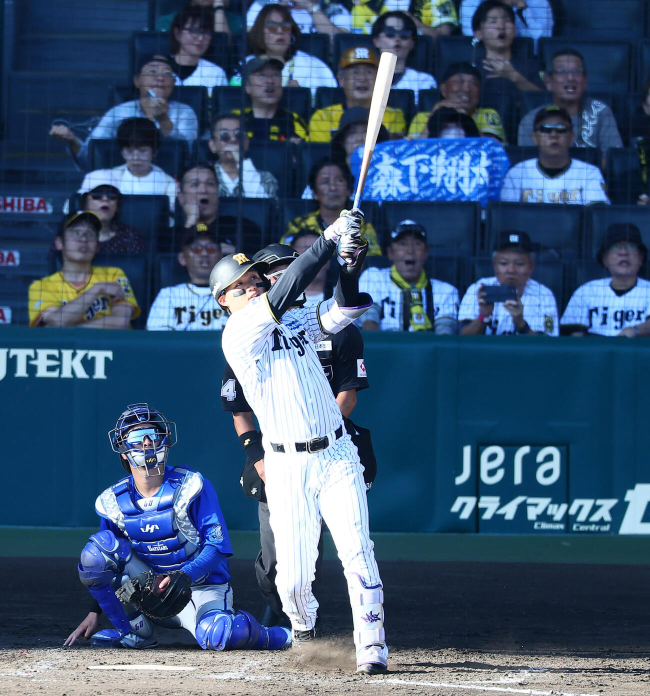 阪神対DeNA 5回裏阪神1死、森下翔太は左越えソロ本塁打を放つ（撮影・加藤哉）