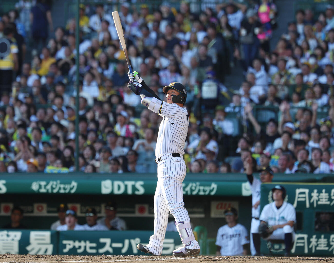 阪神対DeNA 5回裏阪神1死、本塁打を放つ森下翔太（撮影・増田悦実）
