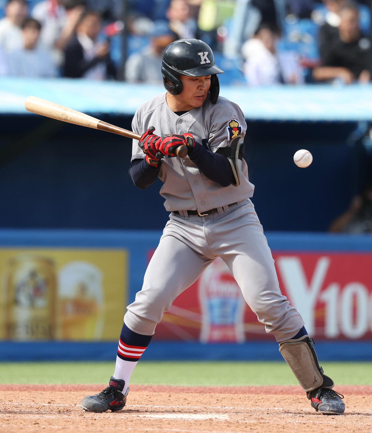 慶大対明大　4回表慶大1死、吉開鉄朗は死球を受ける（撮影・柴田隆二）