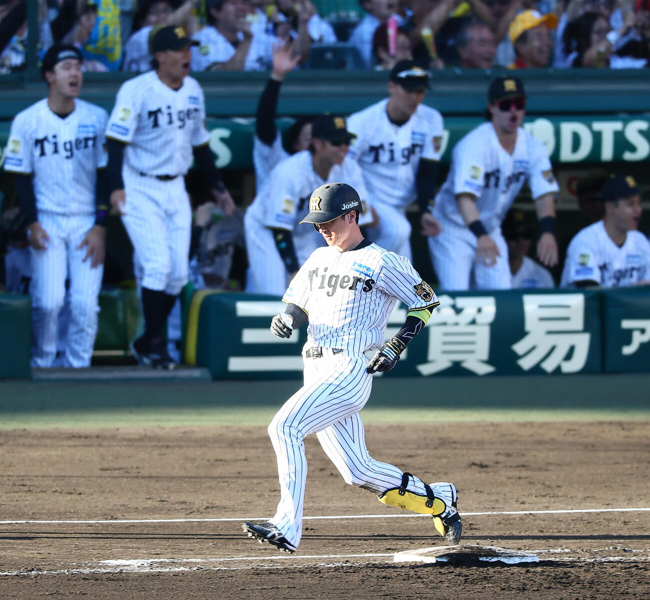 阪神対DeNA 6回裏阪神2死三塁、近本光司は適時三失を放つ（撮影・加藤哉）