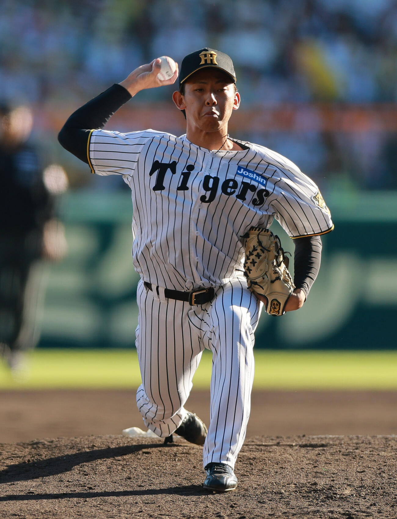 阪神対DeNA 5回表に登板する阪神神宮僚介（撮影・上山淳一）
