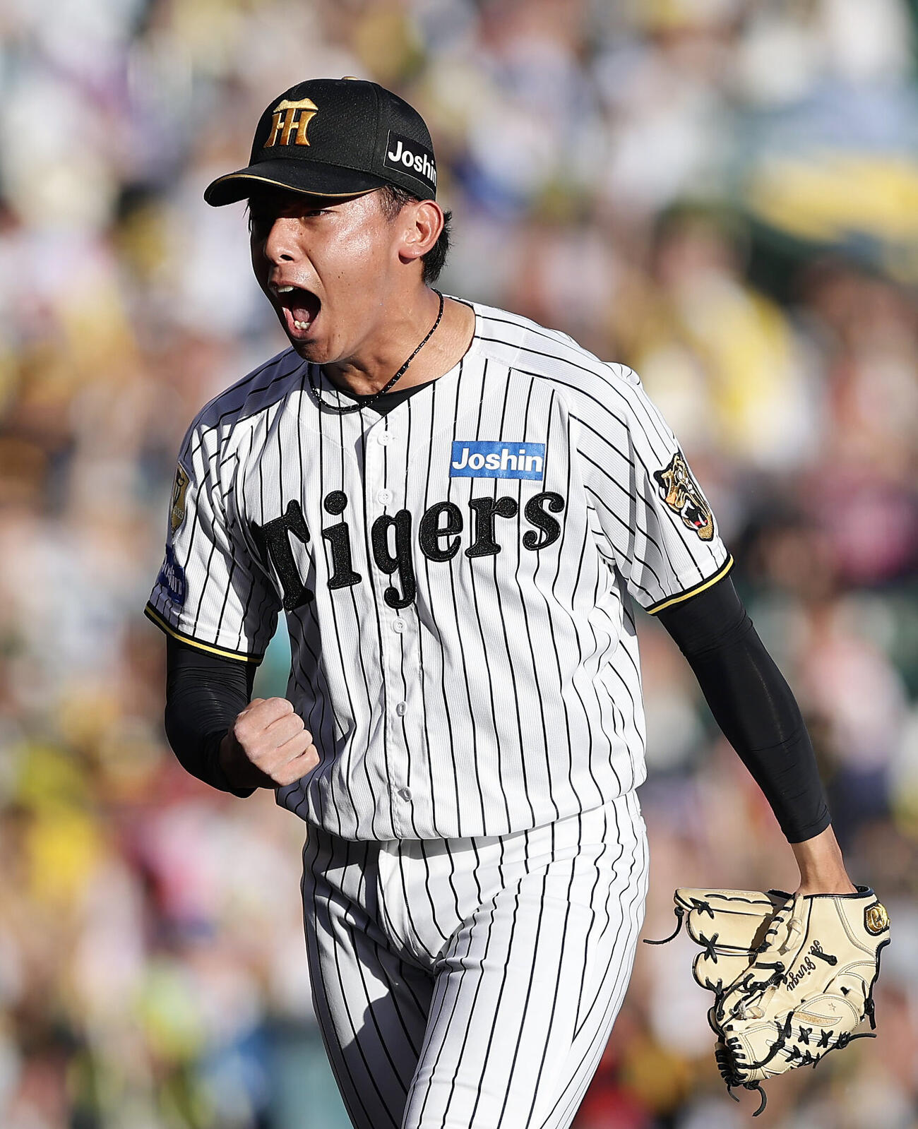 阪神対DeNA 6回表DeNA2死一、三塁、成瀬脩人を空振り三振に仕留め、ガッツポーズする神宮僚介（撮影・前田充）