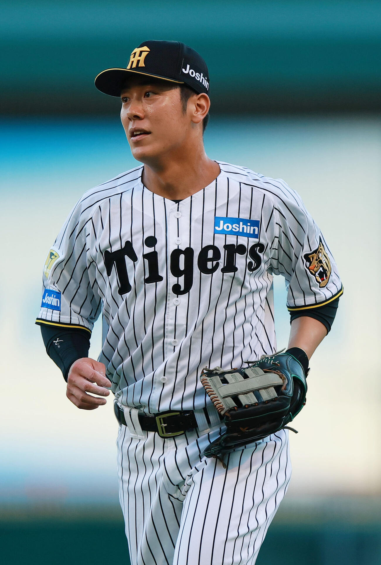 阪神豊田寛（26年9月撮影）