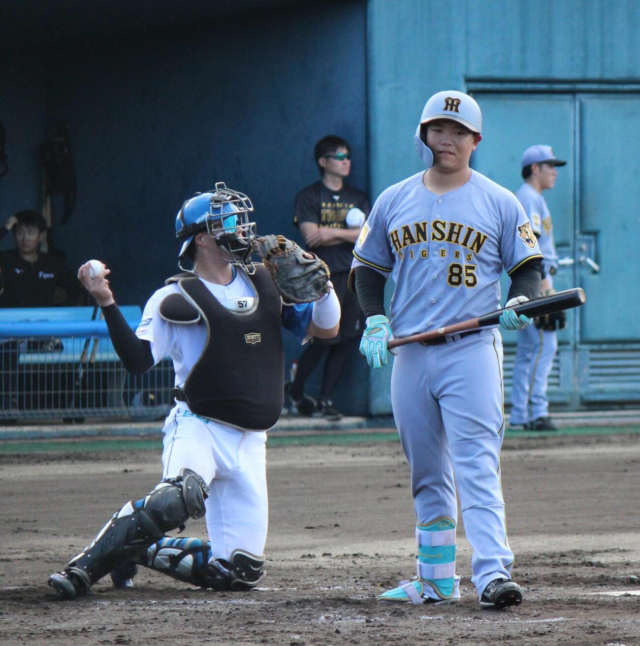 フェニックスリーグ日本ハム戦に出場した阪神嶋村