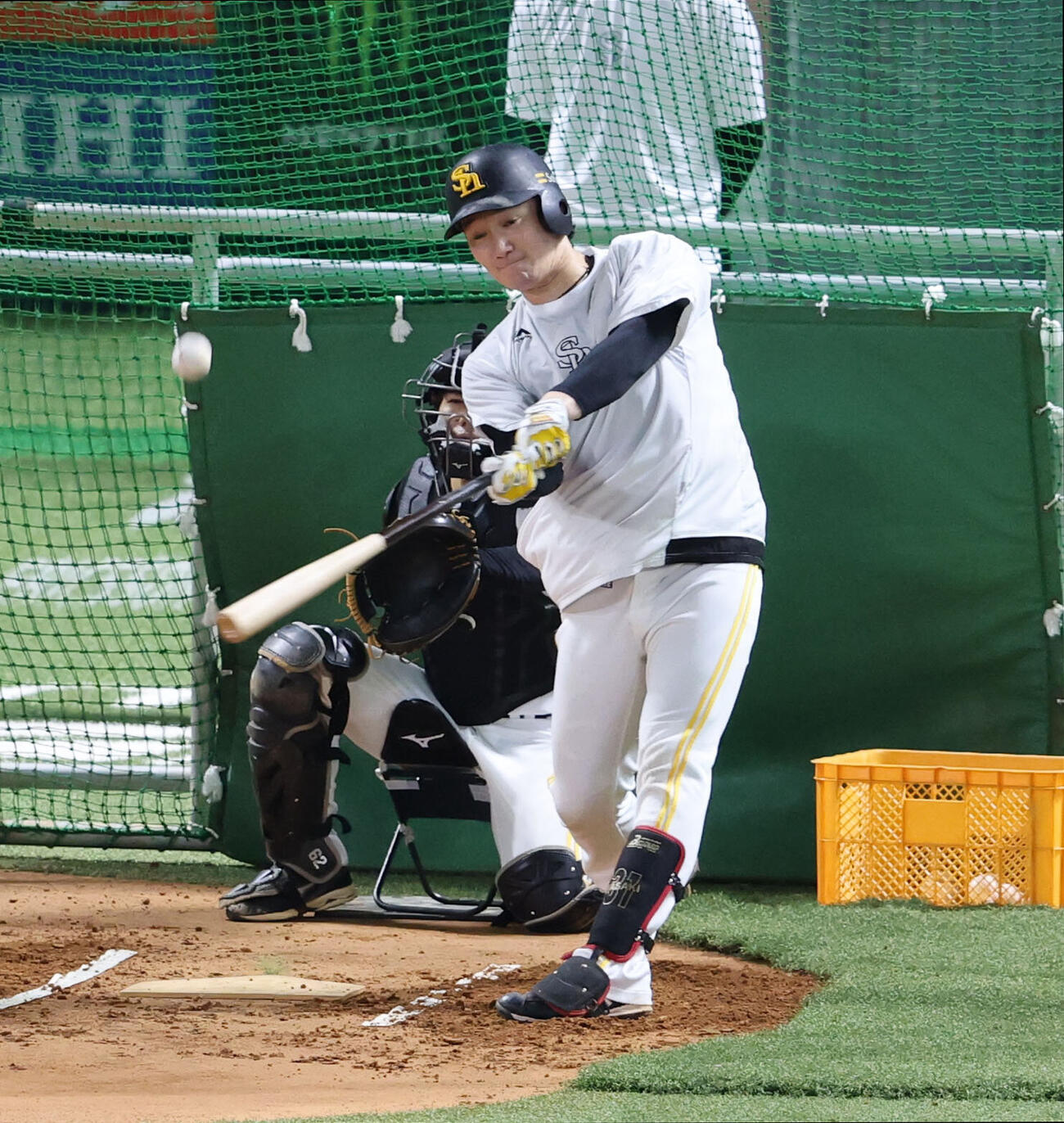 打撃練習をするソフトバンク正木智也（撮影・梅根麻紀）