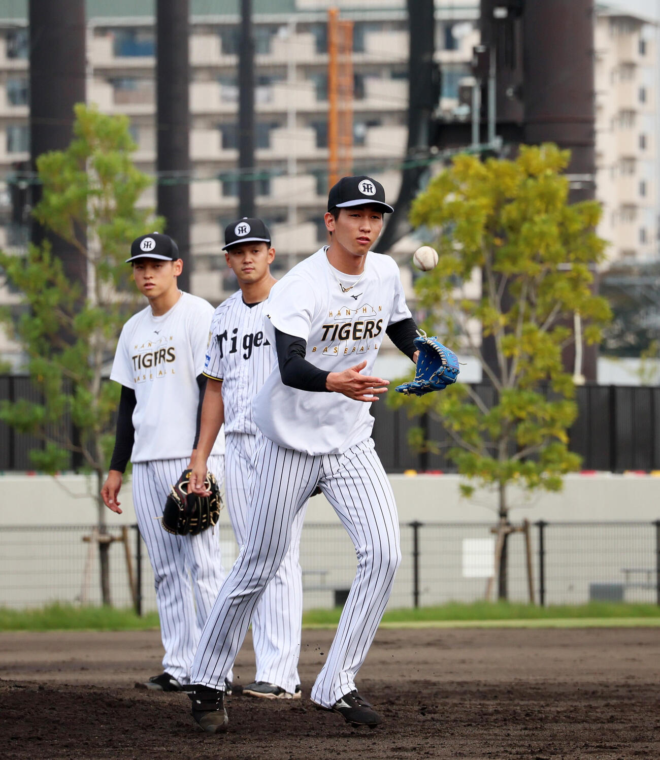 練習でゴロを捕球する阪神今朝丸裕喜（撮影・加藤哉）